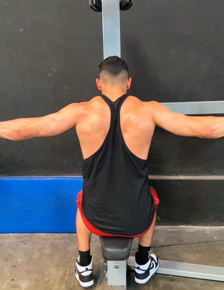 Vuelos posteriores - Seamos Fitness