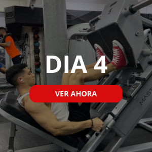 Día 4 - Seamos Fitness
