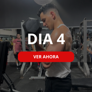 Día 4